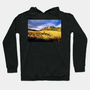 Summer At The Flatirons Hoodie